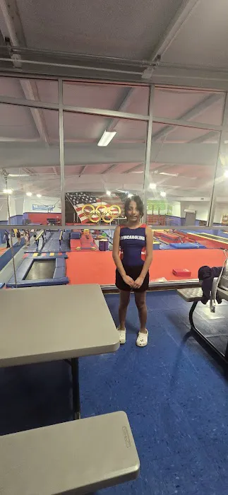 Gymcarolina Gymnastics Academy Picture 3