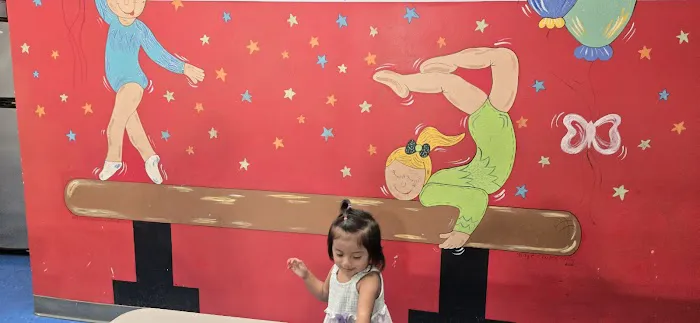 Gymcarolina Gymnastics Academy Picture 1