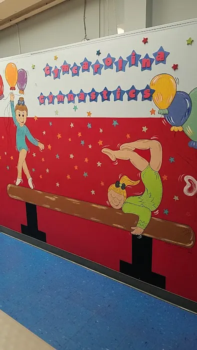 Gymcarolina Gymnastics Academy Picture 2