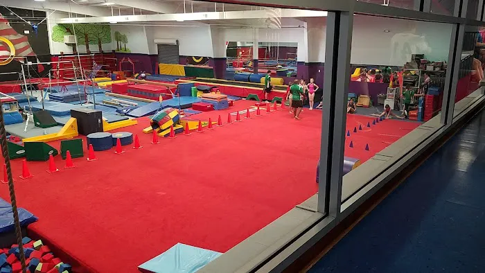 Gymcarolina Gymnastics Academy Picture 8