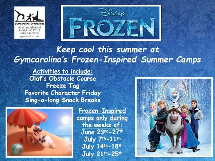 Gymcarolina Gymnastics Academy Picture 10