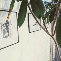 Base Moves | Pilates Reformer & Mat Studio ico