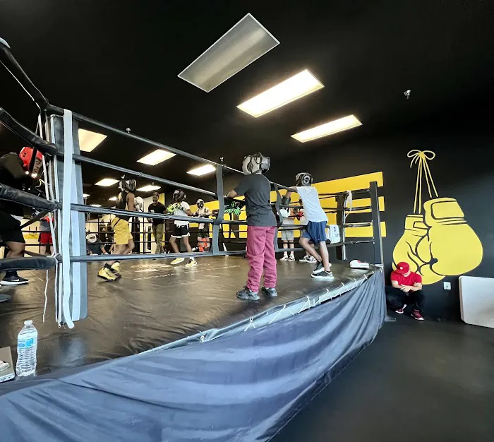 Pride Boxing and Fitness Picture 9