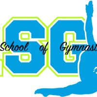 Raleigh School of Gymnastics ico