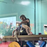 The Little Gym of North Raleigh/Wake Forest ico