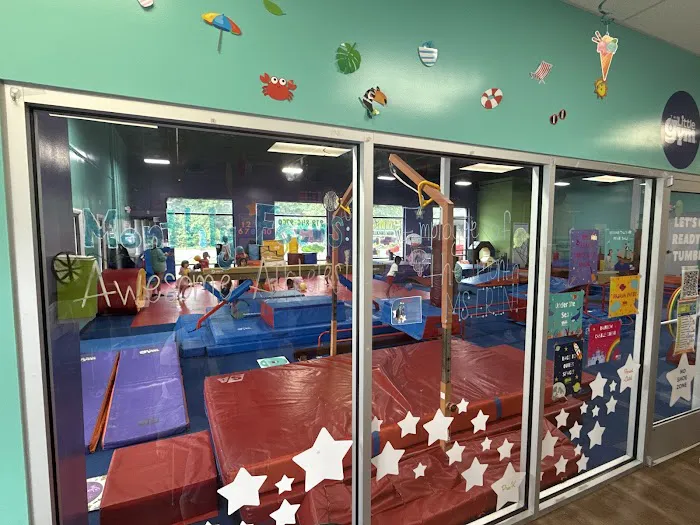 The Little Gym of North Raleigh/Wake Forest Picture 5