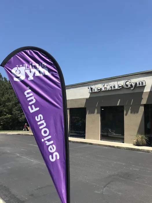 The Little Gym of North Raleigh/Wake Forest Picture 10