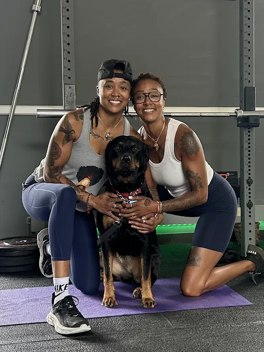 Radical Movement Fitness Studio Picture 5