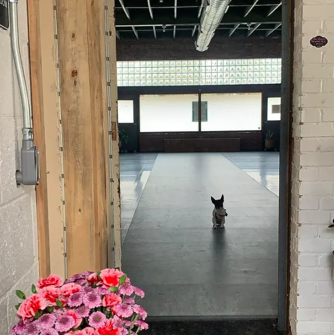 Threehouse Studios Picture 6