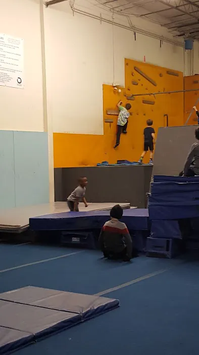 Enso Movement Raleigh Picture 5