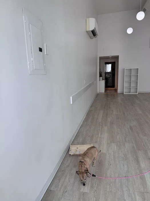 Yoga District Durham Picture 5