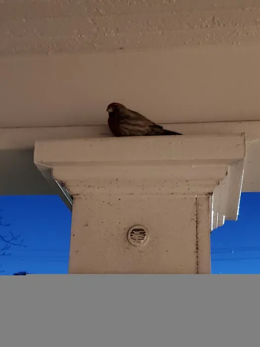 Bull City Pilates and Massage Picture 1