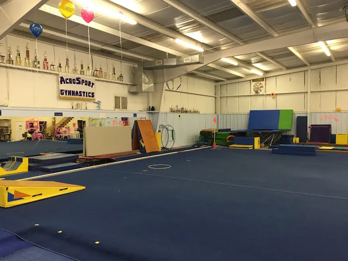 Acrosport Gymnastics Picture 1