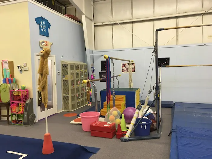 Acrosport Gymnastics Picture 3