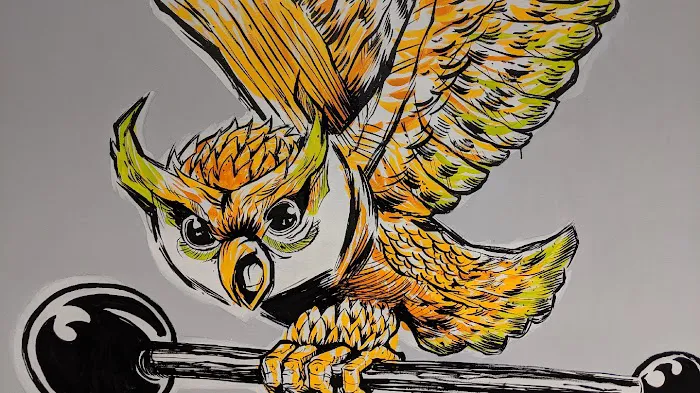 Chapel Hill Movement Gym Picture 1