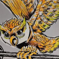 Chapel Hill Movement Gym ico