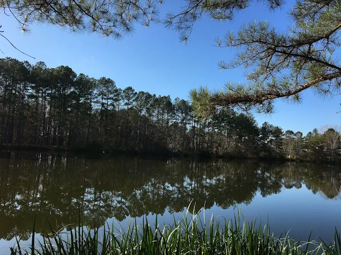 G’s House of Yoga, LLC Picture 1