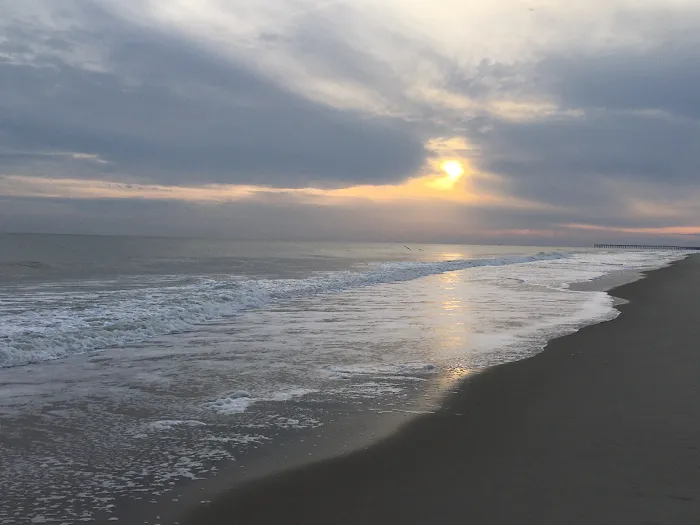 G’s House of Yoga, LLC Picture 3