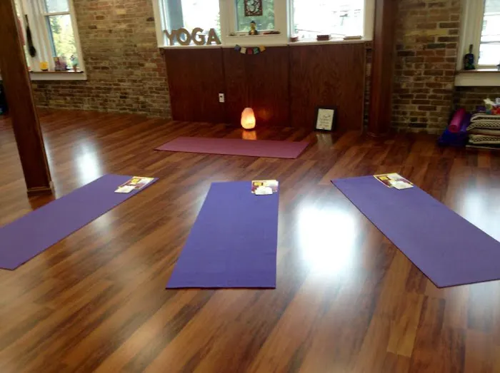 The Children's School of Yoga Picture 5