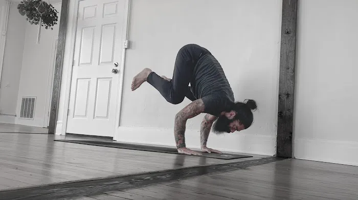 True North Yoga and Ayurveda Picture 6