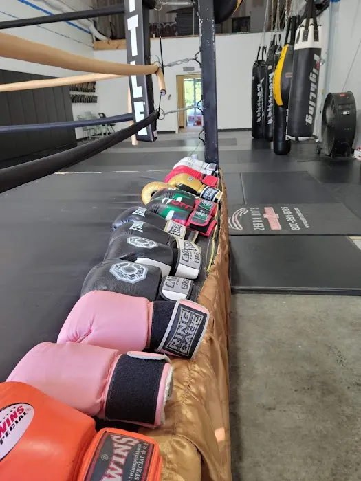 Inmortales MMA, Self Defense & Fitness Picture 1