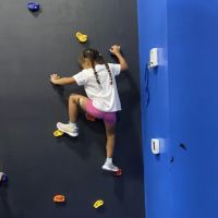 Wake Forest Ninja Academy ico