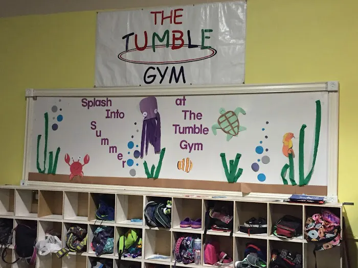 The Tumble Gym of Wake Forest Gymnastics Picture 2