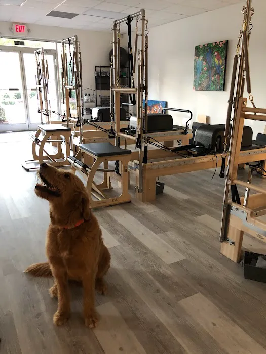 Rebel Moves Pilates Picture 6