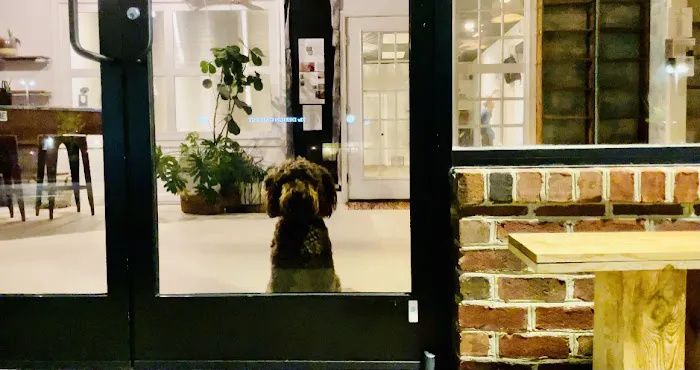 Feel Better Yoga CHAPEL HILL Picture 2