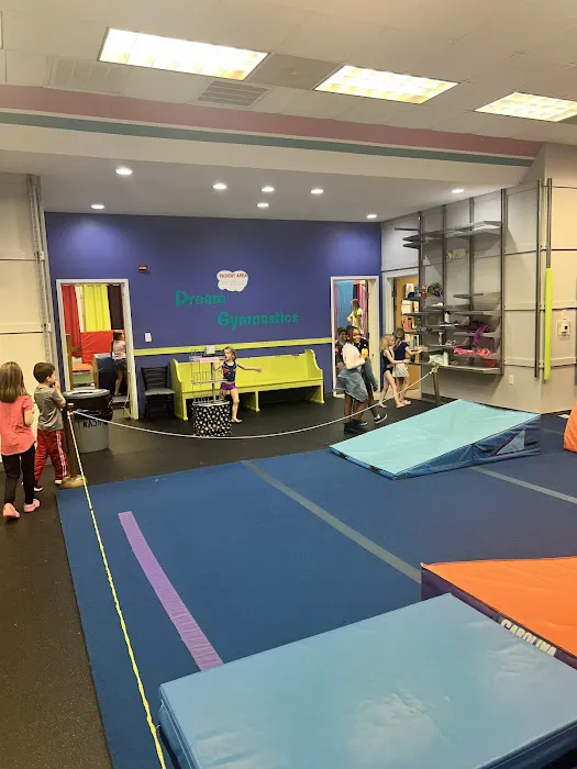 Dream Gymnastics Picture 5