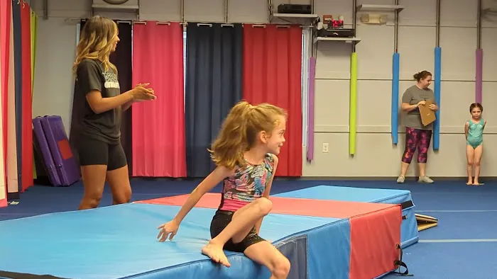 Dream Gymnastics Picture 2