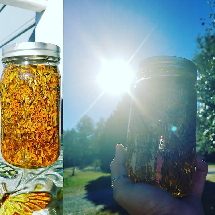 Mindful Motion Picture 9