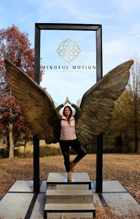 Mindful Motion Picture 7