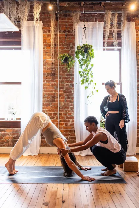 THE YOGA LOFT Picture 6