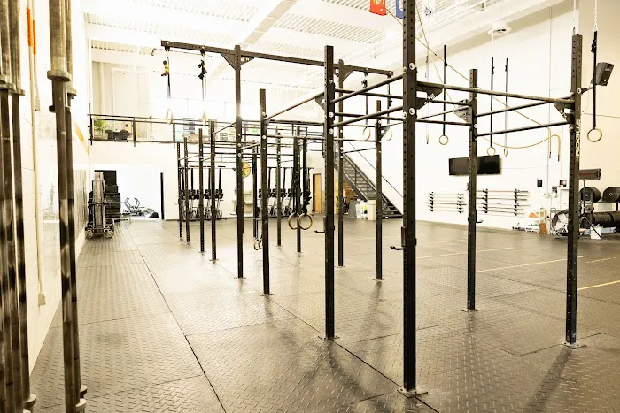 Shoofly Athletics Picture 2