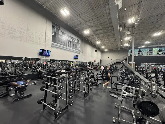 Gold's Gym Picture 4