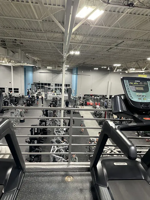 Gold's Gym Picture 7