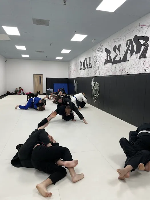 Bull & Bear Gym Picture 2