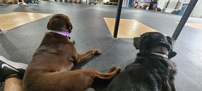 First in Flight Athletics Picture 4