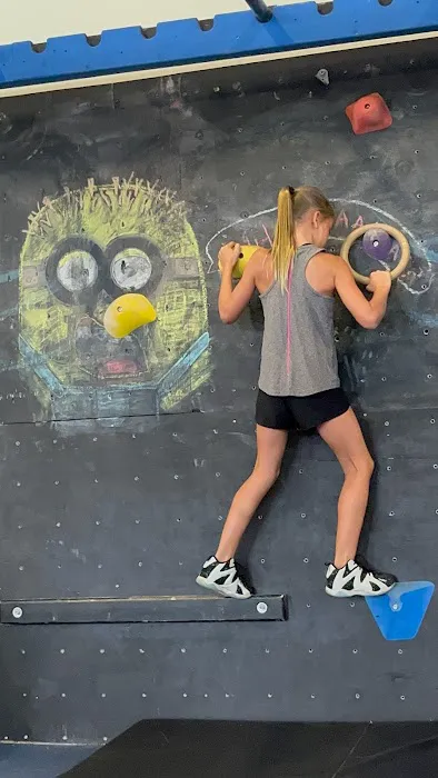 Element Gymnastics & Sports Center Picture 6