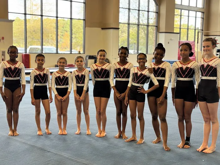 Element Gymnastics & Sports Center Picture 1