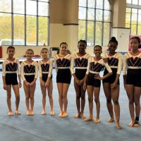 Element Gymnastics & Sports Center ico