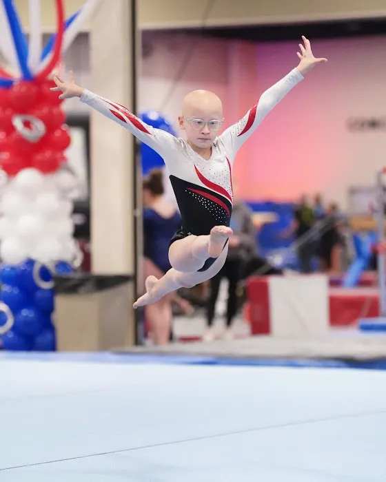 Element Gymnastics & Sports Center Picture 8