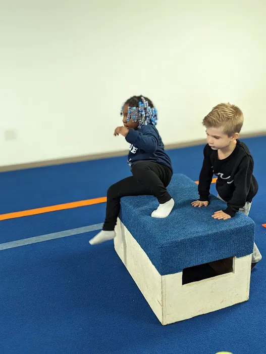 Element Gymnastics & Sports Center Picture 7