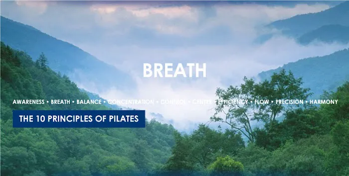 Body in Tune Picture 5