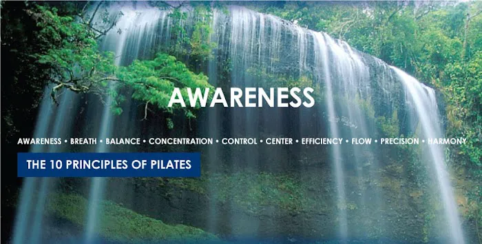 Body in Tune Picture 6