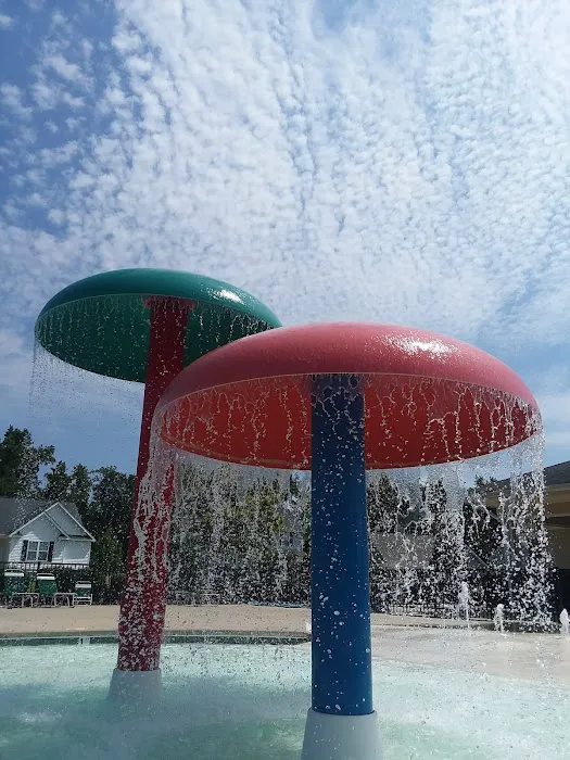 Tralee Athletic Club Picture 6