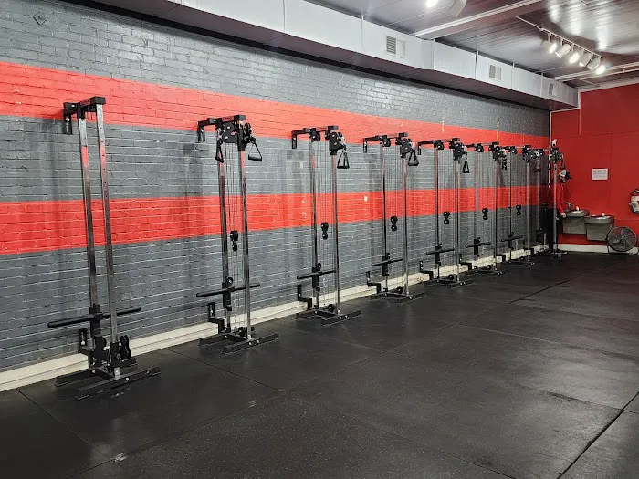 Flex Affect Picture 7