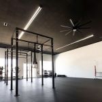 Level 9 Fitness