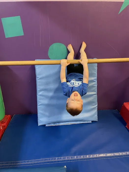 Omaha Gymnastics Academy, North Campus Picture 3